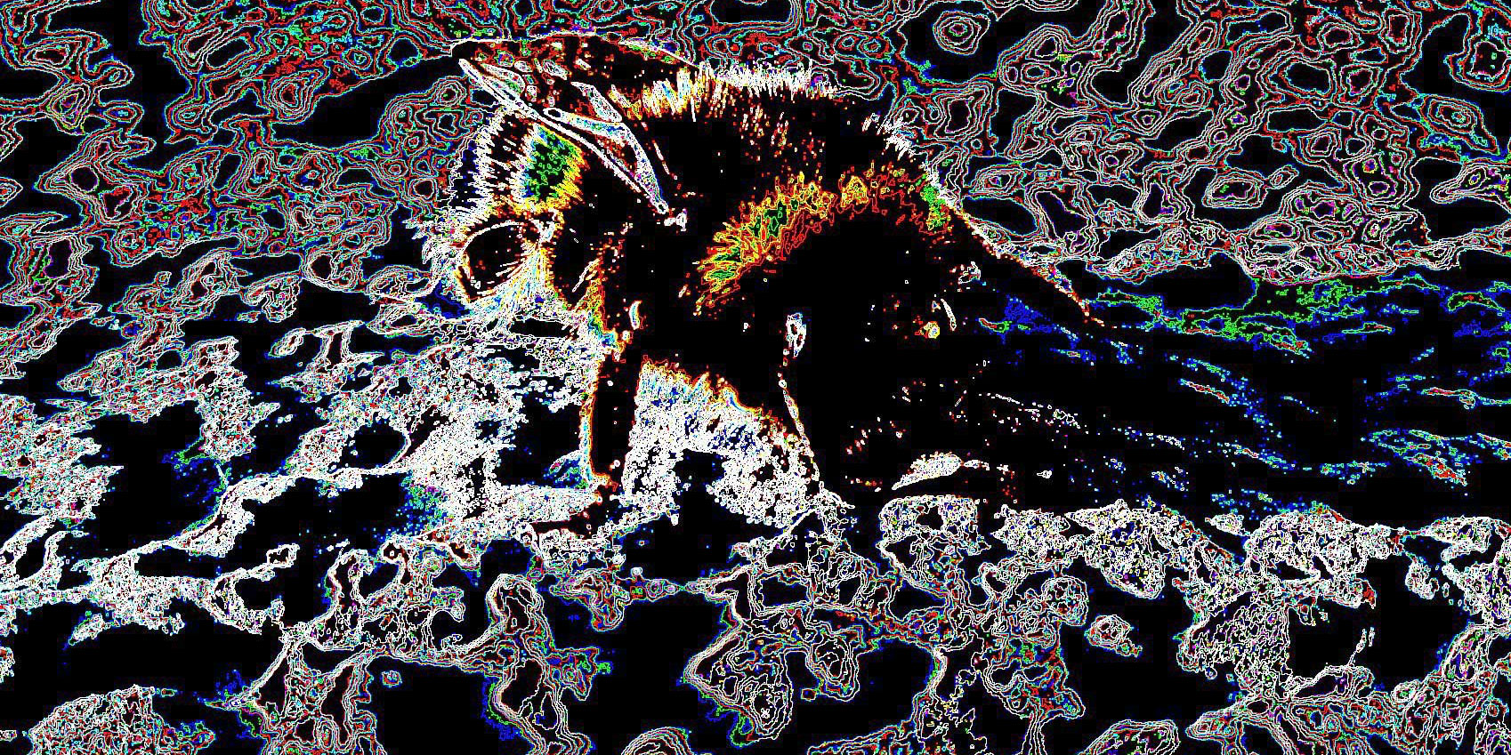 Bee in Schmutz